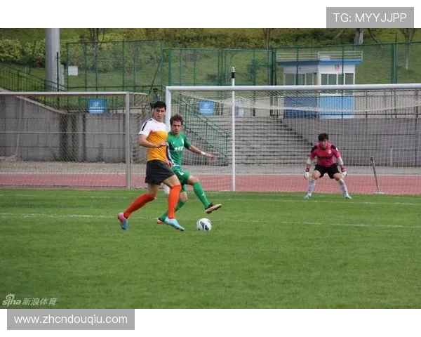 全面解析斗球体育直播的优势与观看体验提升技巧